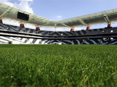 Fotograf�a oficial de la FIFA