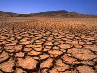 Fotografa La falta de agua es uno de los problemas que ms preocupa a la ONU