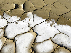 Fotografa de Portada: Efectos de la desertizacin que provoca el calentamiento global (FOTO: Martine Perret/ONU)