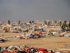 Fotografa de Portada: As qued el campamento arrasado por Marruecos (FOTO: Asociacin Thawra)